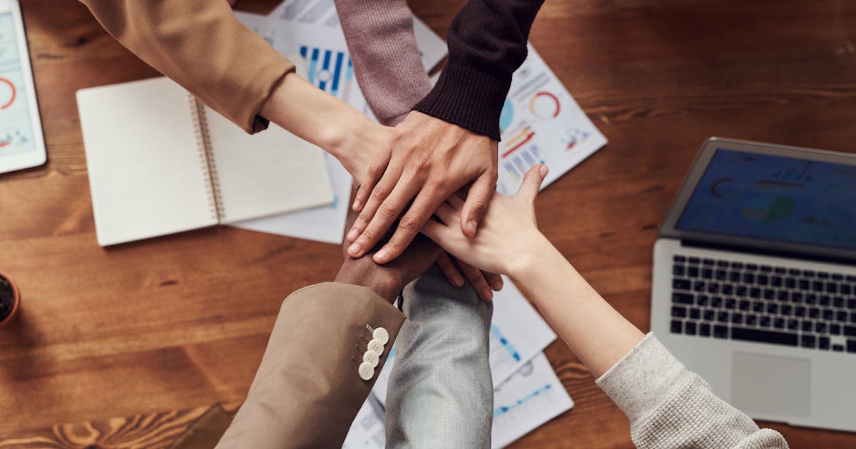BTS NDRC : programme, alternance et débouchés en 2026